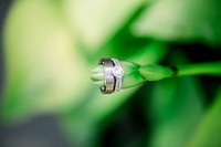 Adam & Crista Wedding-7387