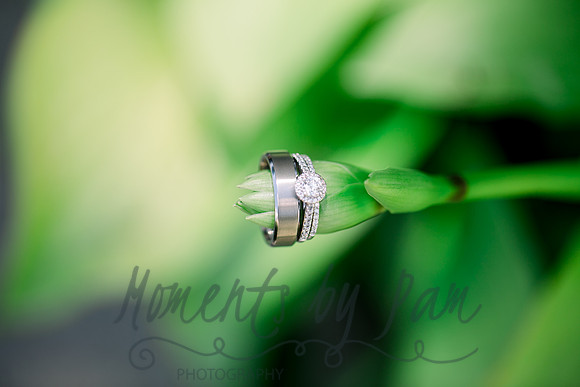 Adam & Crista Wedding-7387