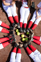 ACHS Softball Banners {class of 17}
